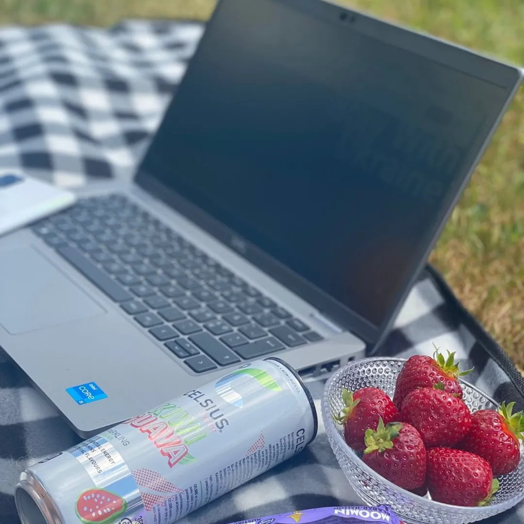 A laptop open on a picnic blanket outdoors next to a bowl of strawberries